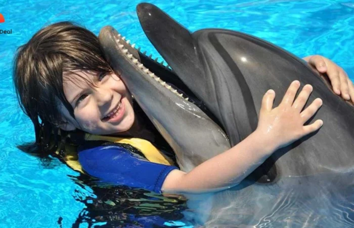 Delfinweltshow in Hurghada